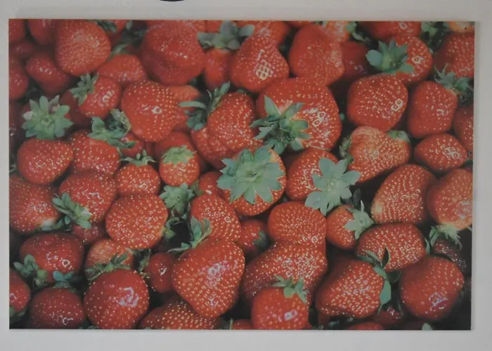 Lily's House Near The *