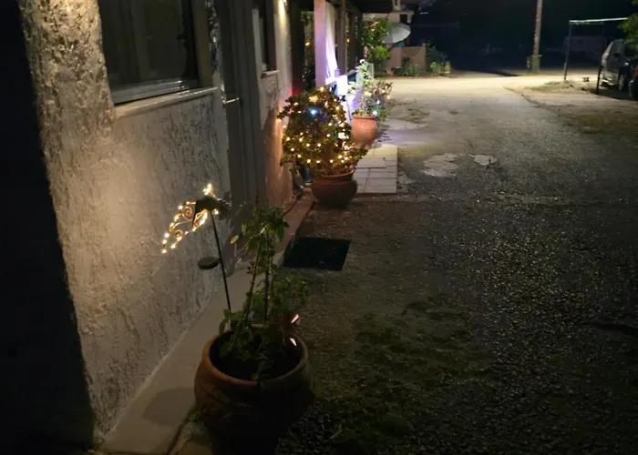 Lily's House Near The لامبي