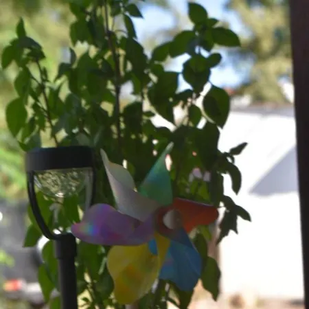 Lily's House Near The Prázdninový dům *