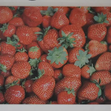 Lily's House Near The *