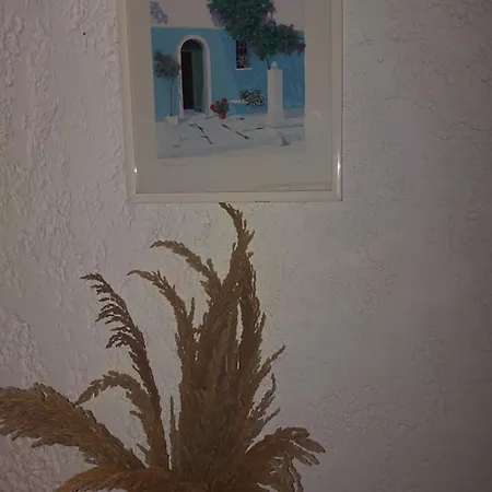 Lily's House Near The