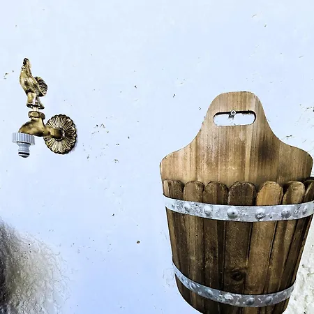 Lily's House Near The