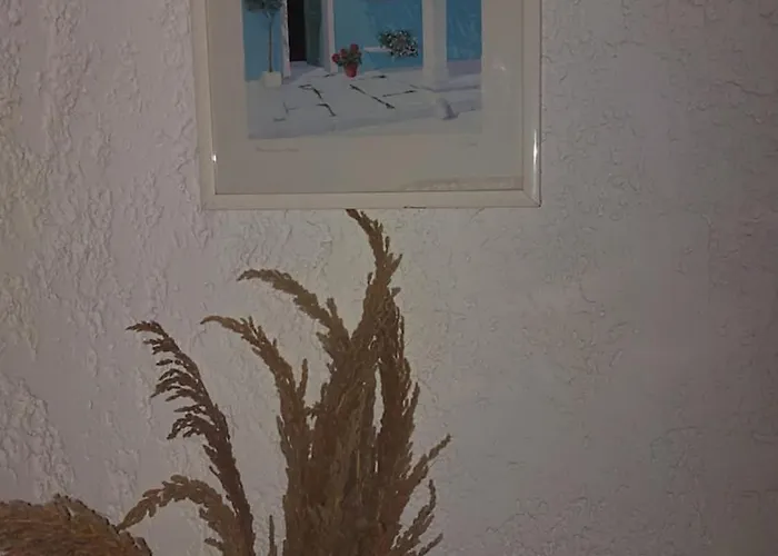 Lily's House Near The