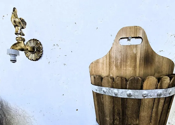 Lily's House Near The